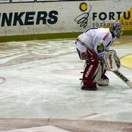 Slavia vs. Vsetín 4.1. 2004