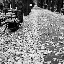 17. října 2010 - Bowling